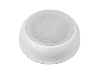 Omnitronic DAL-2 Ceiling Speaker