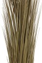 Reed grass, khaki, 127cm