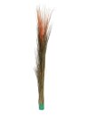 Reed grass, light brown, 127cm