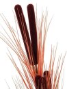 Reed grass w/ cattails, light-brown,152cm