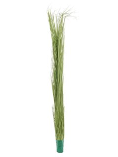 Reed grass, light green, 127cm