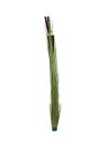 Reed grass w/ cattails,light green,152cm