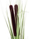 Reed grass w/ cattails,light green,152cm