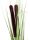 Reed grass w/ cattails,light green,152cm