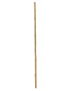 Bamboo tube, Ø=3cm, 200cm