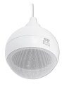 Omnitronic WP-5H Ceiling Speaker