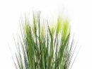 Feather grass, white, 60cm