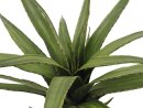 Aloe (EVA), green, 50cm