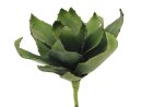 Agave (EVA), green, 45cm