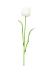Crystal tulip, white 61cm 12x