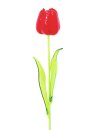 Crystal tulip, red 61cm 12x