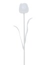 Crystal tulip, clear 61cm 12x