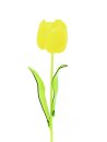 Crystal tulip, yellow 61cm 12x