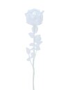 Crystal rose, clear 81cm 12x