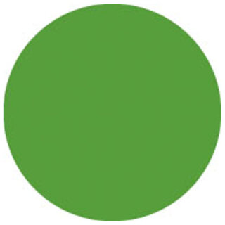 Showgear Colour Sheet 122 x 55 cm, Fern Green