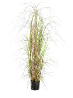 Grass bush, 150cm