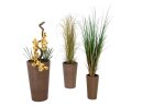 Fox grass, 150cm