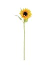 Sunflower, 70cm