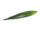 Aloe leaf (EVA), green, 60cm