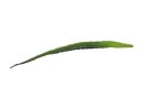 Aloeblatt (EVA), grün, 60cm