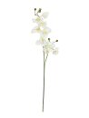 Orchid spray, cream-white, 100cm