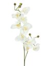 Orchid spray, cream-white, 100cm