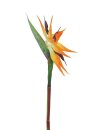 Bird-of-paradise spray, orange, 95cm