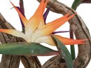 Bird-of-paradise spray, orange, 95cm