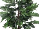 Jungle tree Mango, 150cm