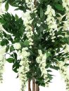 Wisteria, white, 150cm