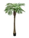 Phoenix palm tree luxor, 150cm