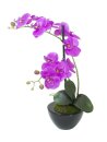 Orchid arrangement 4