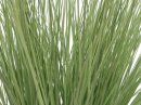 Ornamental grass, 65cm