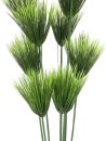 Papyrus plant, 150cm