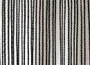 Wentex Pipes & Drapes Vorhang Fadenvorhang, 3x6m,...