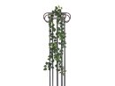 Philodendron Garland Classic, 180cm