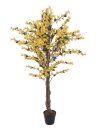 Forsythienbaum mit 4 Stämmen, gelb, 150 cm