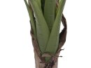 Banana tree, 100cm