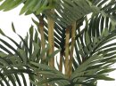 Kentia palm tree, 140cm