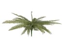 Boston fern, green, 70cm