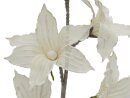 Clematis Branch (EVA), white