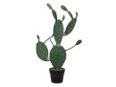 Nopal cactus, 76cm