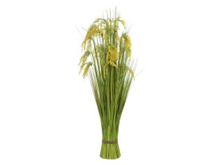 Reed Grass Bunch 118cm