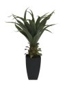 Agave plant with pot, 75cm