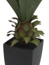 Agave plant with pot, 75cm