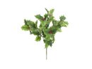 Holly bush 43cm