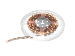 Eurolite LED Strip 600 5m 3528 2700+5700K 24V