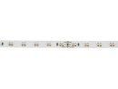 Eurolite LED Strip 600 5m 3528 2700+5700K 24V