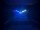 Eurolite LED PST-5 QCL Spot sw