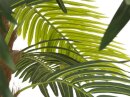 Phoenix palm deluxe, artificial plant, 250cm